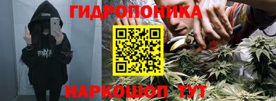 дмт Волжский