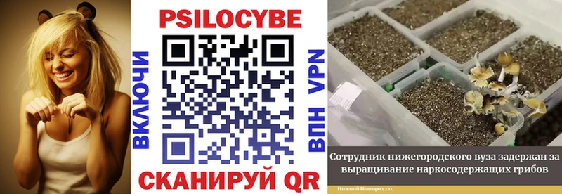 Галлюциногенные грибы ЛСД Минусинск