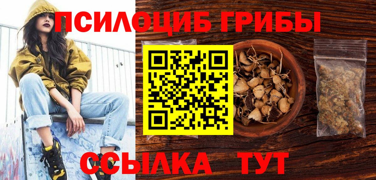 Галлюциногенные грибы мухоморы  Вход с VPN  Минусинск  Псилоцибиновые грибы Psilocybe 