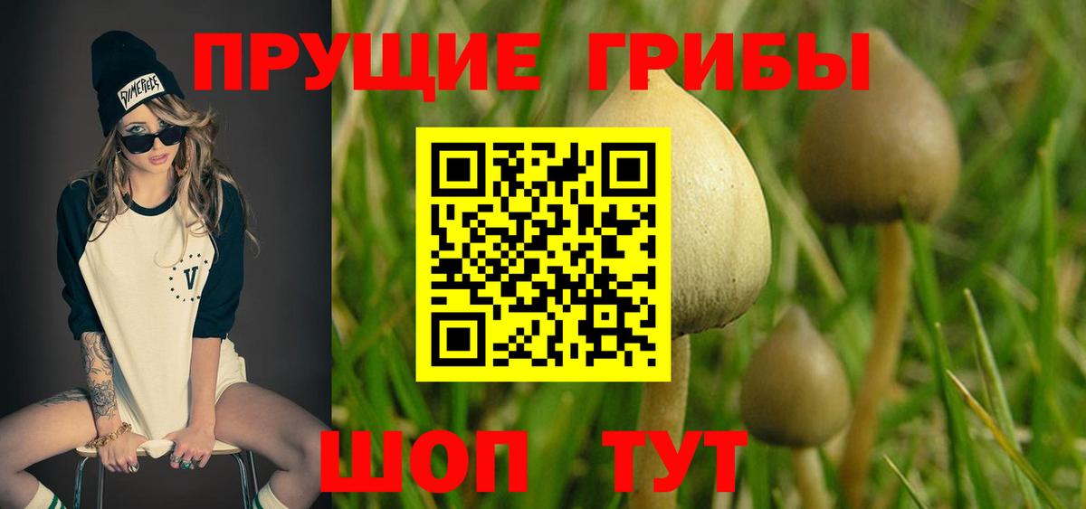Псилоцибиновые грибы ЛСД Минусинск