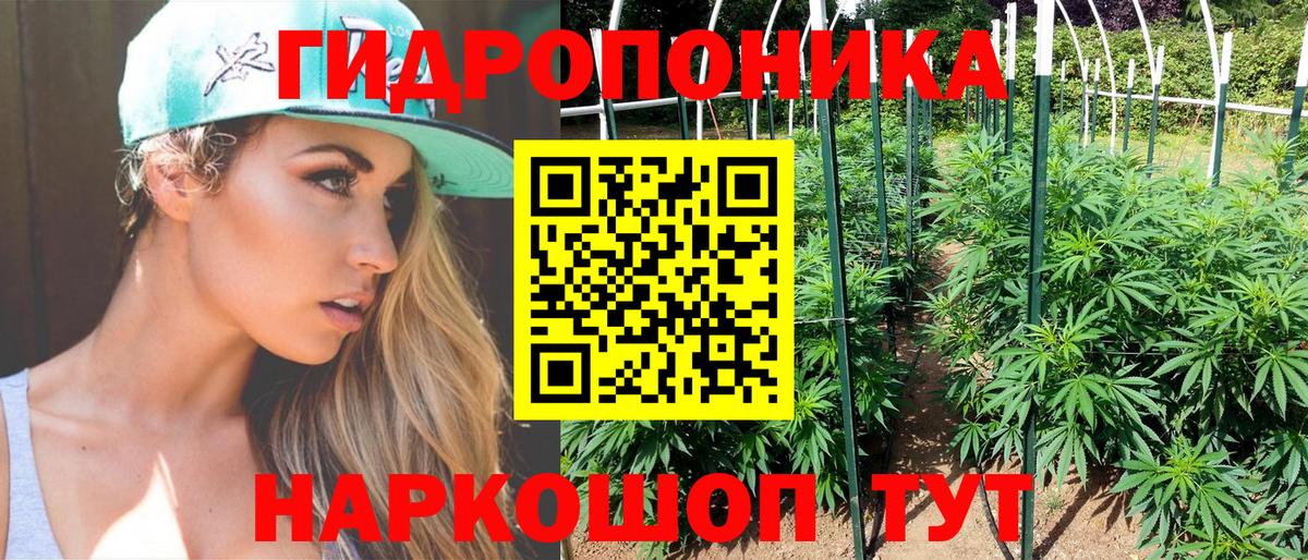 Марихуана семена  Конопля план  Вход с VPN  Минусинск 